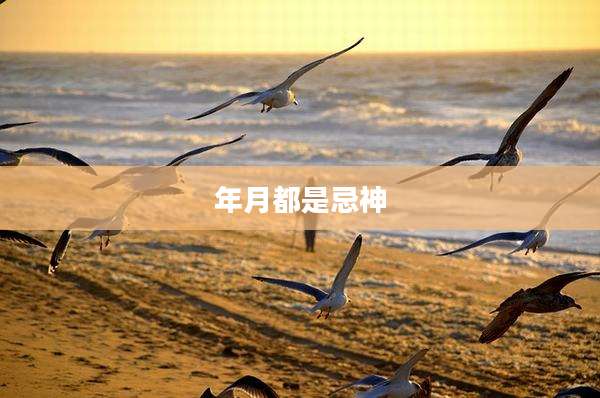 年月都是忌神