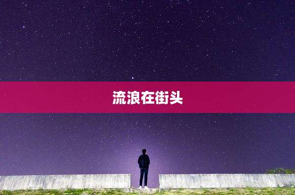 流浪在街头