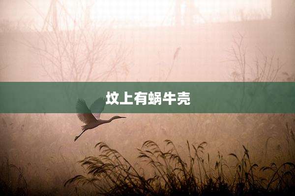 坟上有蜗牛壳