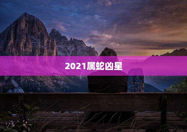2021属蛇凶星