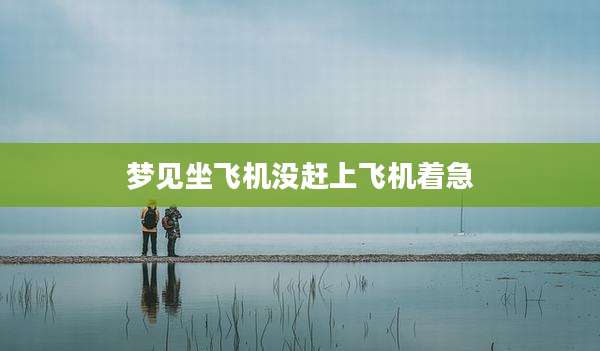 梦见坐飞机没赶上飞机着急