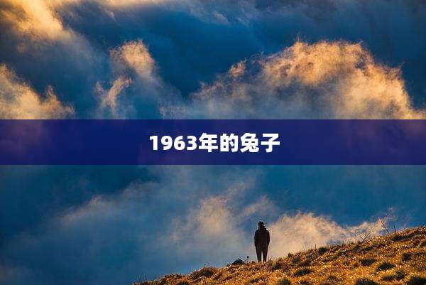 1963年的兔子