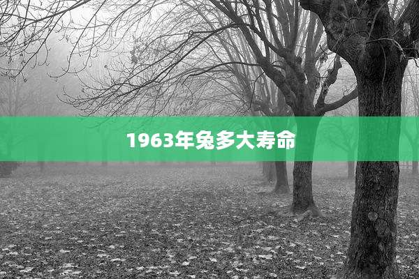 1963年兔多大寿命