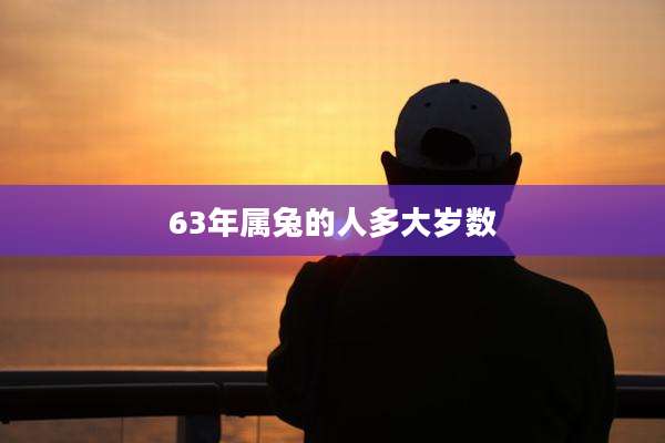 63年属兔的人多大岁数