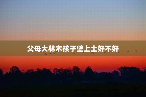 父母大林木孩子壁上土好不好