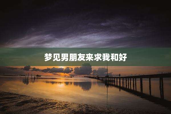 梦见男朋友来求我和好