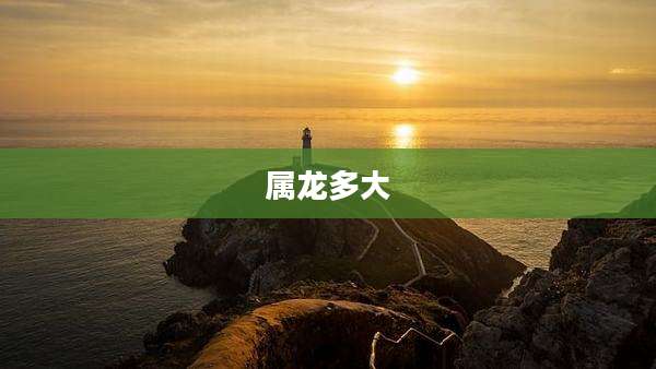 属龙多大