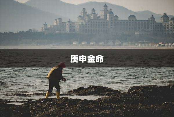 庚申金命