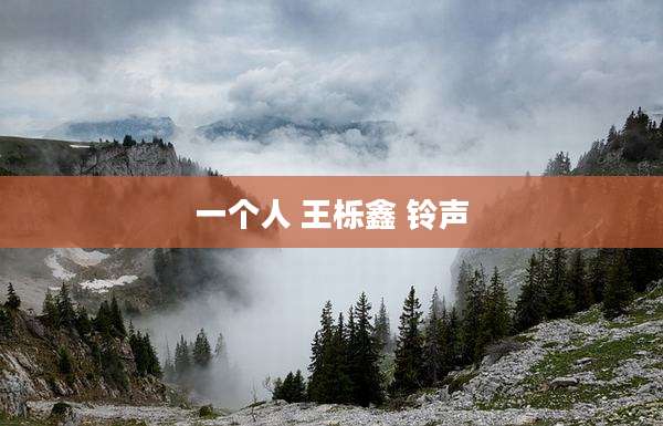 一个人 王栎鑫 铃声