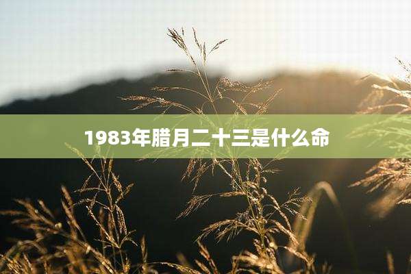 1983年腊月二十三是什么命