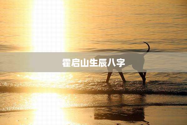 霍启山生辰八字