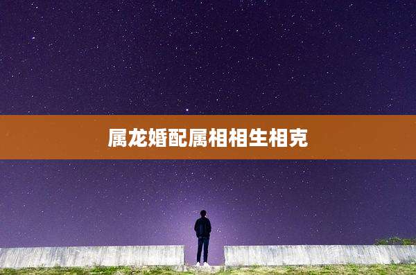 属龙婚配属相相生相克