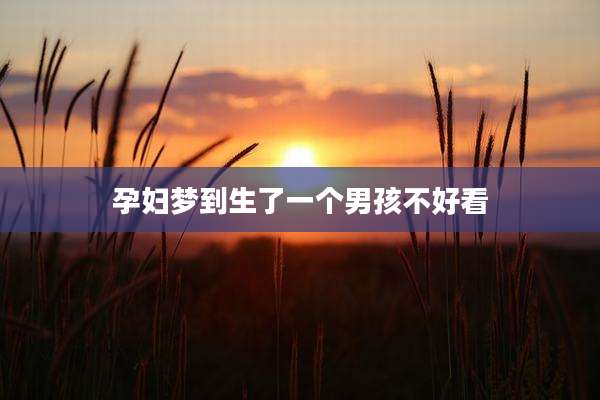 孕妇梦到生了一个男孩不好看