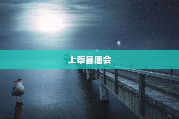 上蔡县庙会