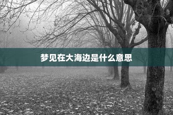 梦见在大海边是什么意思