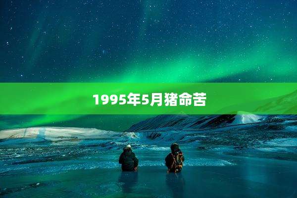 1995年5月猪命苦
