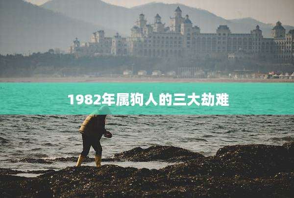 1982年属狗人的三大劫难