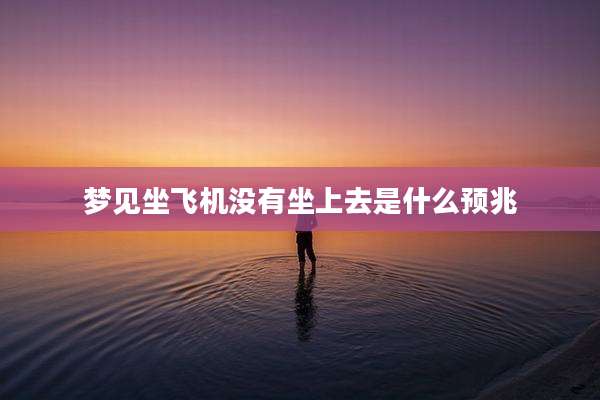 梦见坐飞机没有坐上去是什么预兆