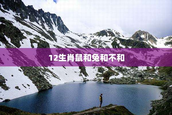12生肖鼠和兔和不和