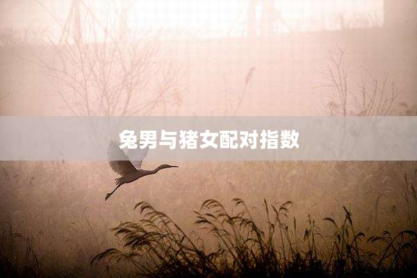 兔男与猪女配对指数