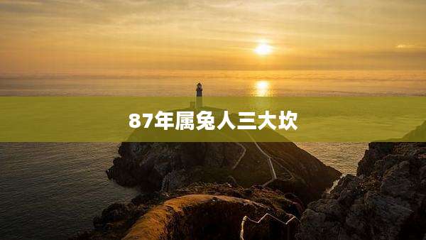 87年属兔人三大坎