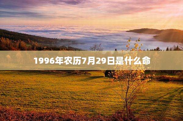 1996年农历7月29日是什么命