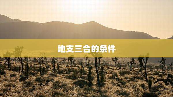 地支三合的条件
