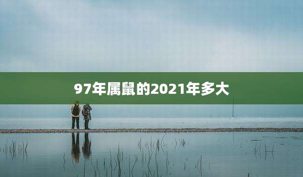 97年属鼠的2021年多大