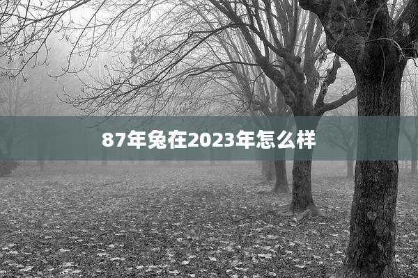 87年兔在2023年怎么样