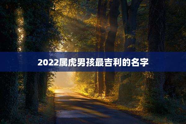 2022属虎男孩最吉利的名字