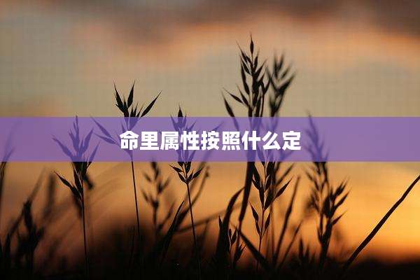 命里属性按照什么定