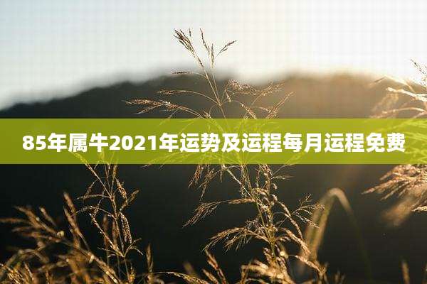 85年属牛2021年运势及运程每月运程免费