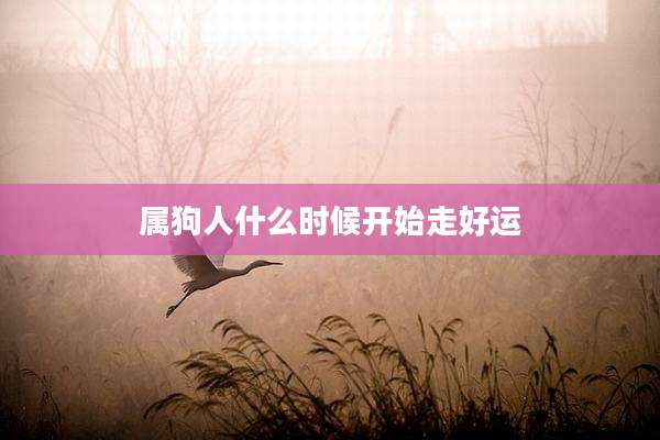 属狗人什么时候开始走好运