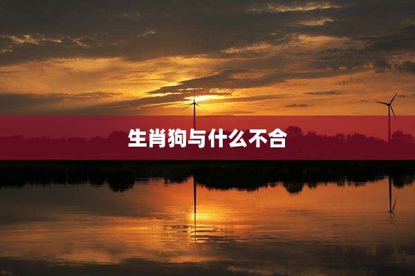 生肖狗与什么不合