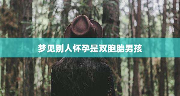 梦见别人怀孕是双胞胎男孩