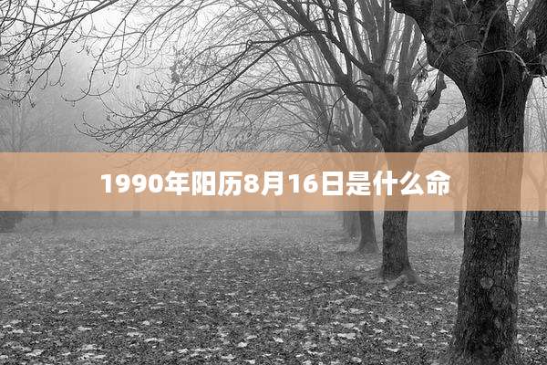 1990年阳历8月16日是什么命