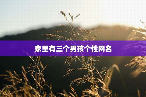 家里有三个男孩个性网名