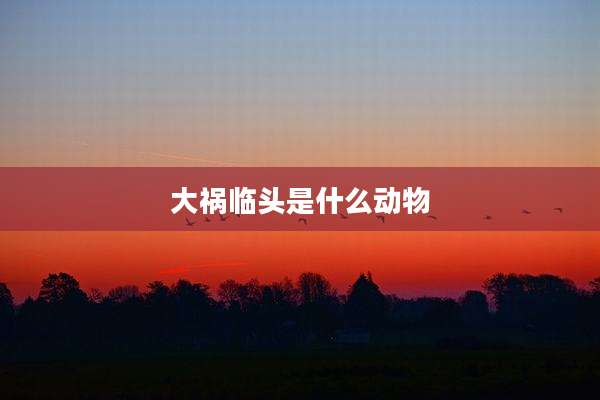 大祸临头是什么动物
