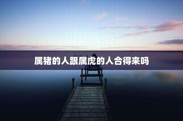 属猪的人跟属虎的人合得来吗