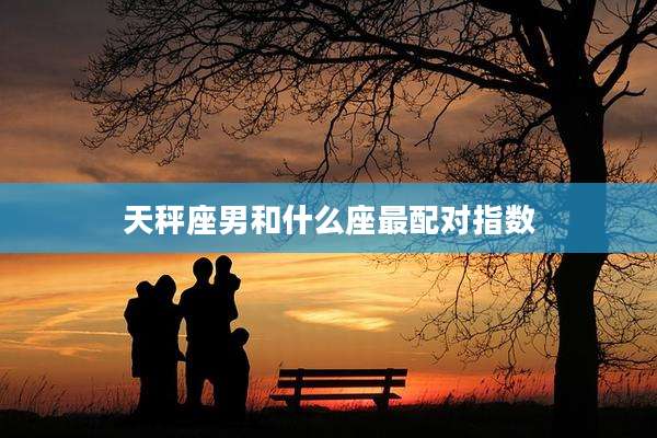 天秤座男和什么座最配对指数