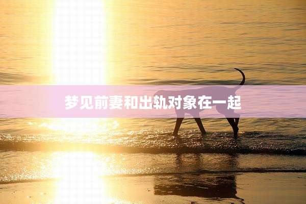 梦见前妻和出轨对象在一起