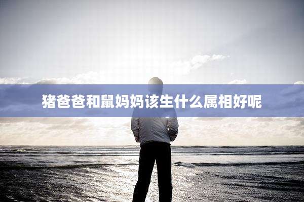 猪爸爸和鼠妈妈该生什么属相好呢
