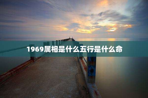 1969属相是什么五行是什么命