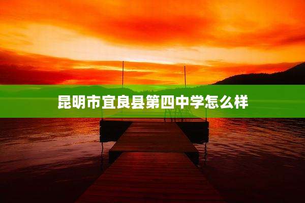 昆明市宜良县第四中学怎么样