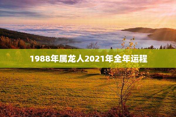1988年属龙人2021年全年运程