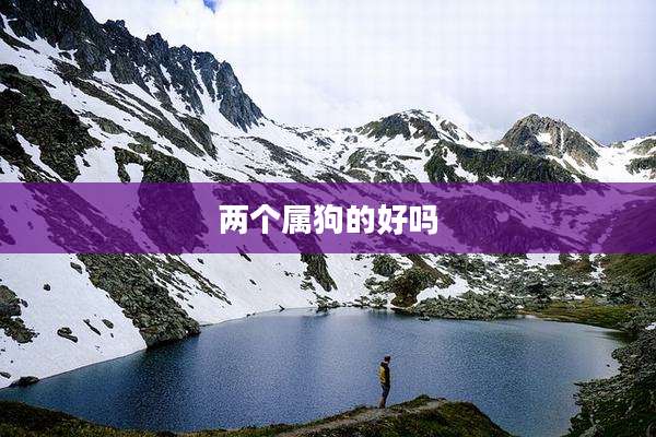 两个属狗的好吗