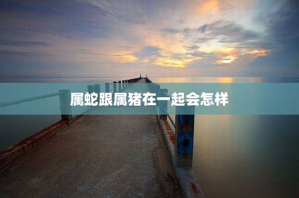 属蛇跟属猪在一起会怎样