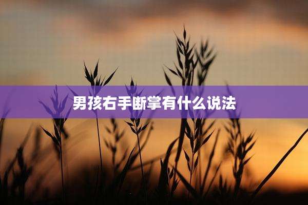 男孩右手断掌有什么说法