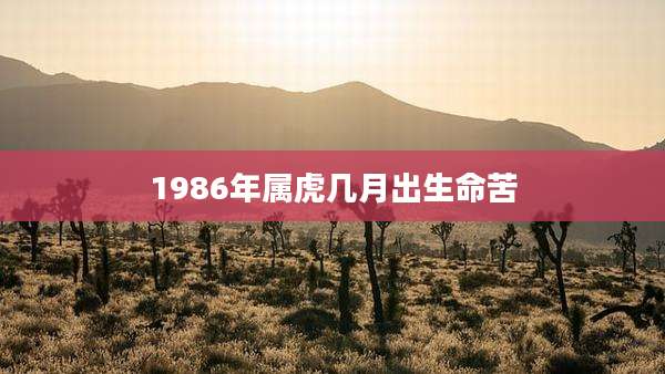 1986年属虎几月出生命苦