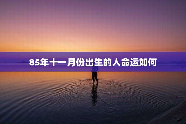 85年十一月份出生的人命运如何